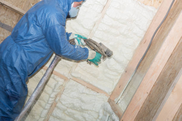 Foam Insulation Services